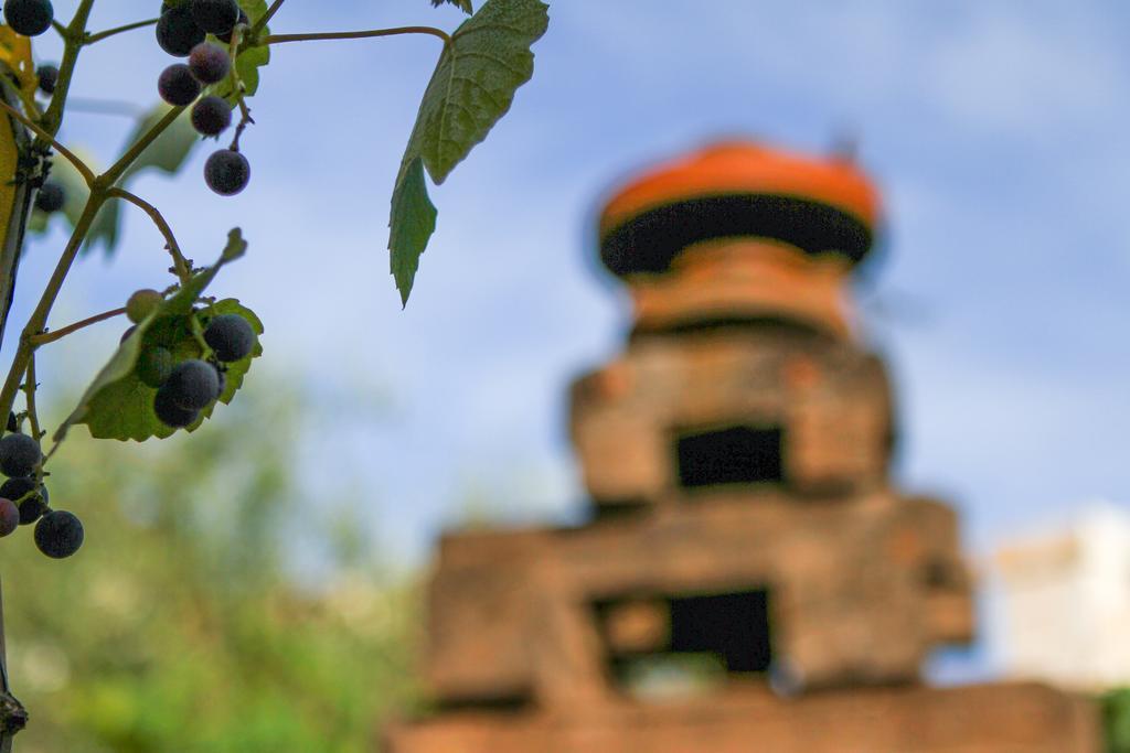 Corte Trullo Sovrano B&B อัลเบโรเบลโล ภายนอก รูปภาพ